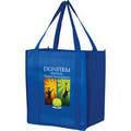 Recession Buster Non-Woven Grocery Bag w/Insert and Full Color (12"x8"x13") - Color Evolution